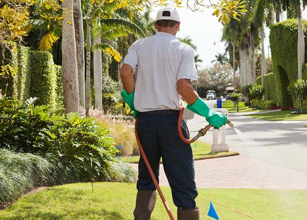 About Tilden NE Pest Control Pros
